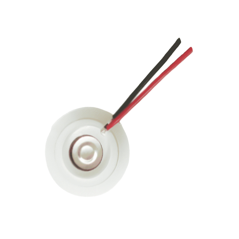 16-112KHZ Ventola Bellezza Umidificatore Nebulizzatore Tablet Foro di nebulizzazione Tablet Mesh Vassoio di nebulizzazione in rete Maglia di acciaio inossidabile Ultrasuoni Nebulizzazione Tablet Aromaterapia Olio essenziale Umidificazione Vassoio di nebulizzazione micro foro