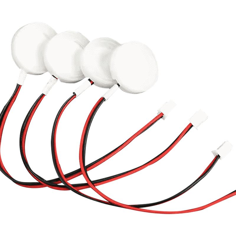 Chip di ceramica piezoelettrica ad alta frequenza da 16mm3mhz Atomizzatore di olio essenziale di aromaterapia Chip di atomizzatore ad ultrasuoni Piccola potenza 5w Scheda driver Profumato Chip di atomizzatore di piccole dimensioni Driver Dc5-24v