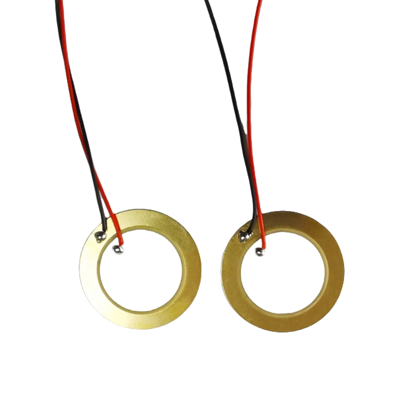 Wafer ceramico piezoelettricoAnello piezoelettricoWafer piezoelettricoWafer trasduttoreWafer ultrasonico