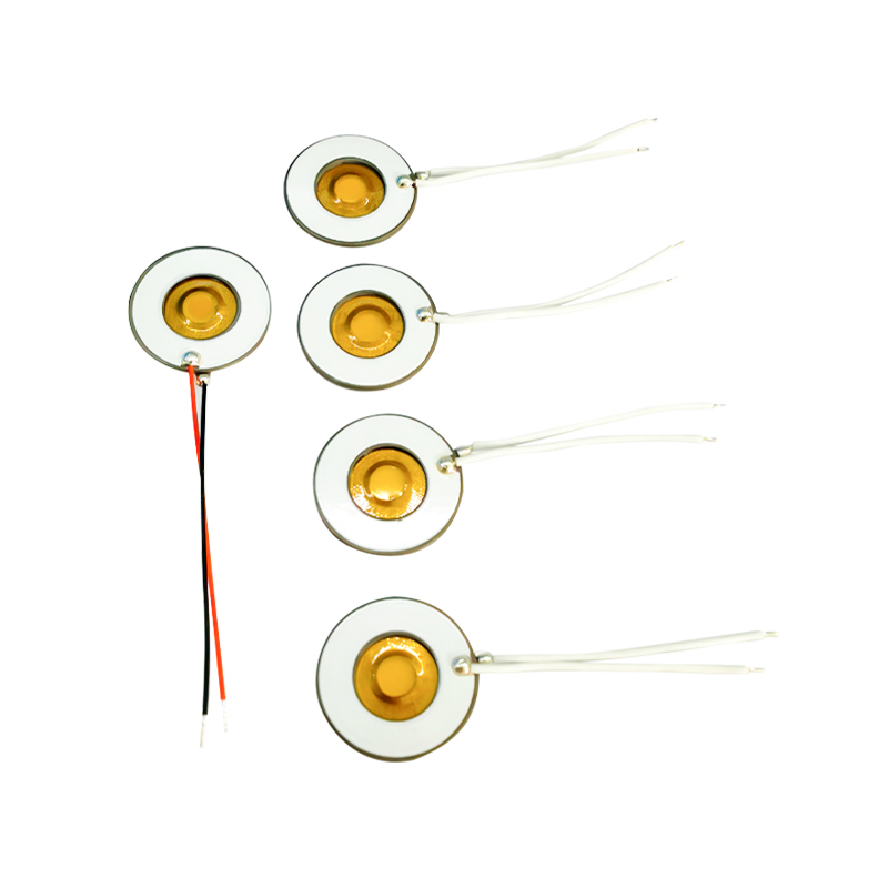 Membrana in poliimmide PI M16-110KHZNebulizzatore a rete microNebulizzatore medicoNebulizzatore a rete ultrasonicoDisco nebulizzatore microporoso da 3μm per nebulizzatore per inalazione