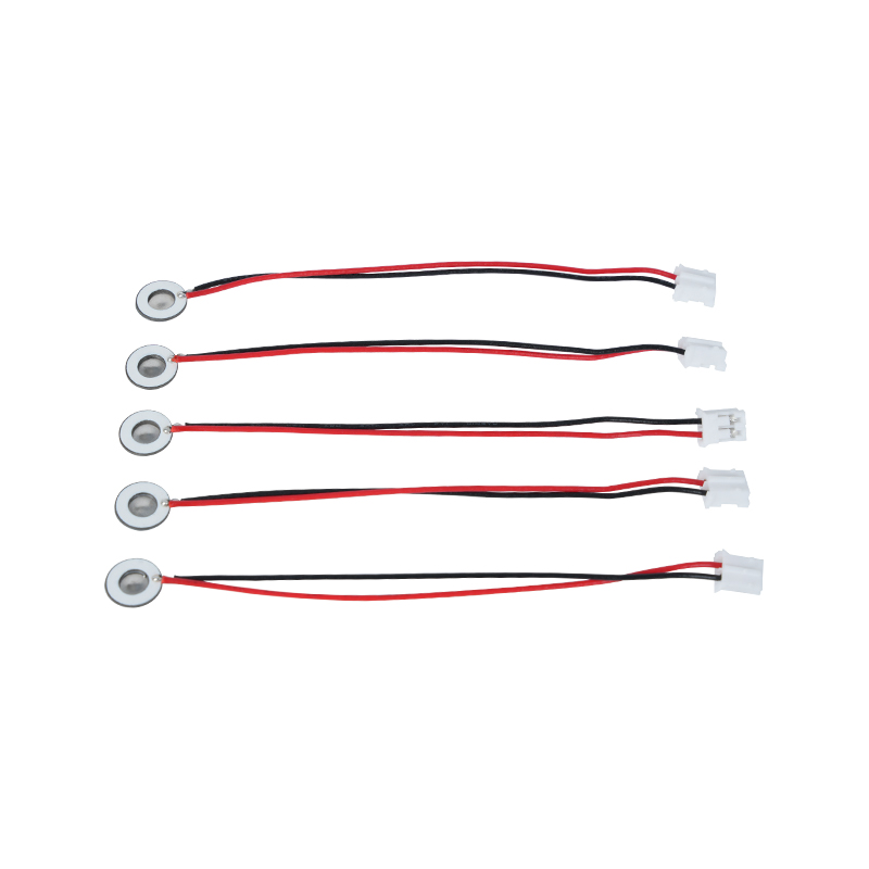 Prodotti miniaturizzati Vassoio di nebulizzazione in rete medica inalabile da Φ8mm Piccola quantità di umidificazione di atomizzazione con vassoio di nebulizzazione Vassoio di nebulizzazione profumato