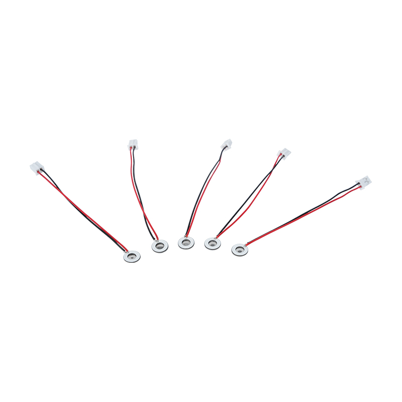 Φ8mm Micro Umidificatore Idratante per gli occhi Spray per la bocca Deodorante Spray per il naso Micro Mesh Atomizzatore Disco Mini Dispositivo Atomizzazione Umidificatore Foglio