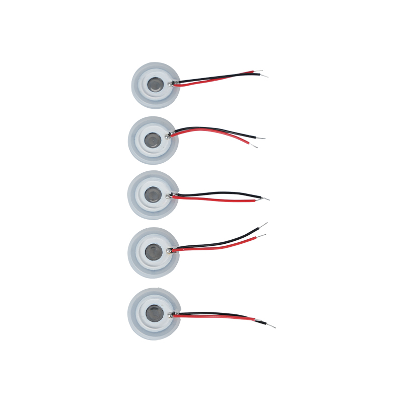 Foglio per nebulizzazione ad ultrasuoni in rete di acciaio inossidabileUmidificazione dell'olio essenziale aromaticoVassoio per nebulizzazione microporosoFoglio per spruzzatura 16-110KHZFoglio per spruzzatura del foroVassoio per nebulizzazione a rete