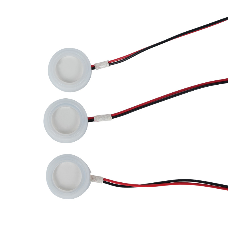 Trasduttore ceramico piezoelettrico dell'oscillatore del trasduttore di atomizzazione ultrasonico 20mm2.4mhz per l'atomizzazione dell'olio essenziale della macchina di aromaterapia