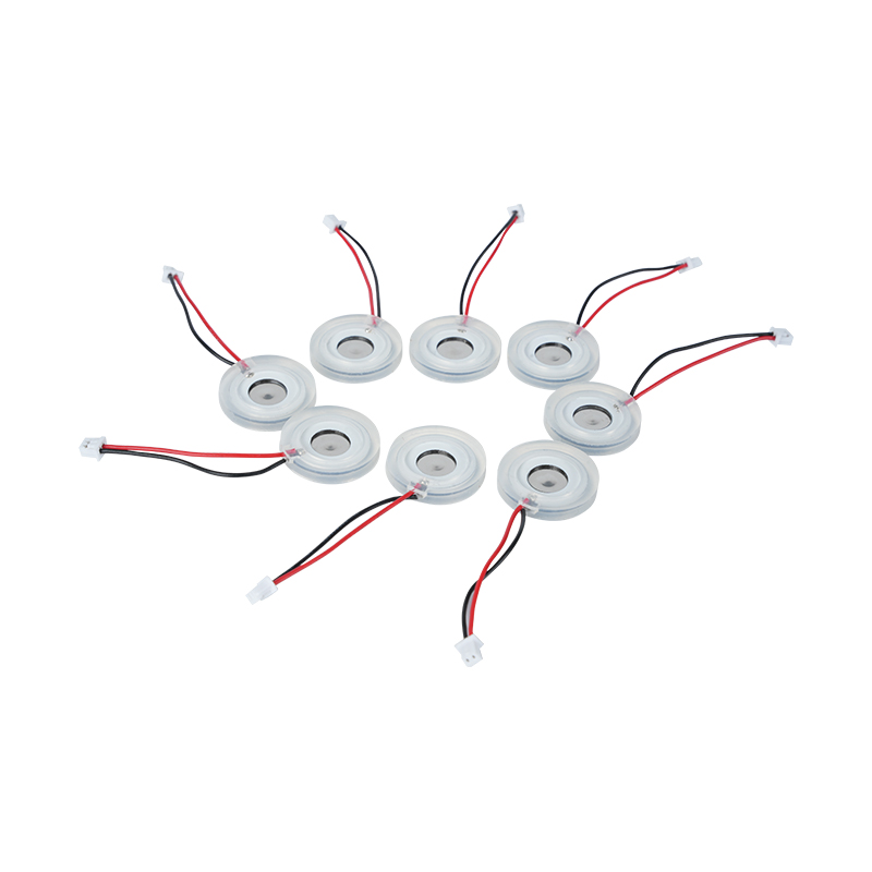 Piastra di nebulizzazione microporosa da Φ16mm Ceramica piezoelettrica Grande volume di nebbia Riscaldatore Piastra di nebulizzazione Diffusore Piastra con foro di spruzzo Piastra di nebulizzazione a rete