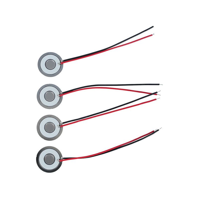 Φ20 Frequenza del disco di atomizzazione 111khz304 Micro Mesh in acciaio inossidabile Disco di atomizzazione Mesh Foglio di atomizzazione Condizionatore d'aria Chiller Frigorifero Umidificazione fresca Mesh Atomizzazione Disperser Sheet Tasso di atomizzazione> 800 ml / H