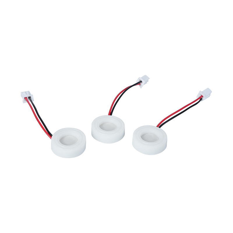 20mm1.7mhz Umidificatore ceramico piezoelettrico ad ultrasuoni Aromaterapia Olio Atomizzatore Chip trasduttore ceramico piezoelettrico