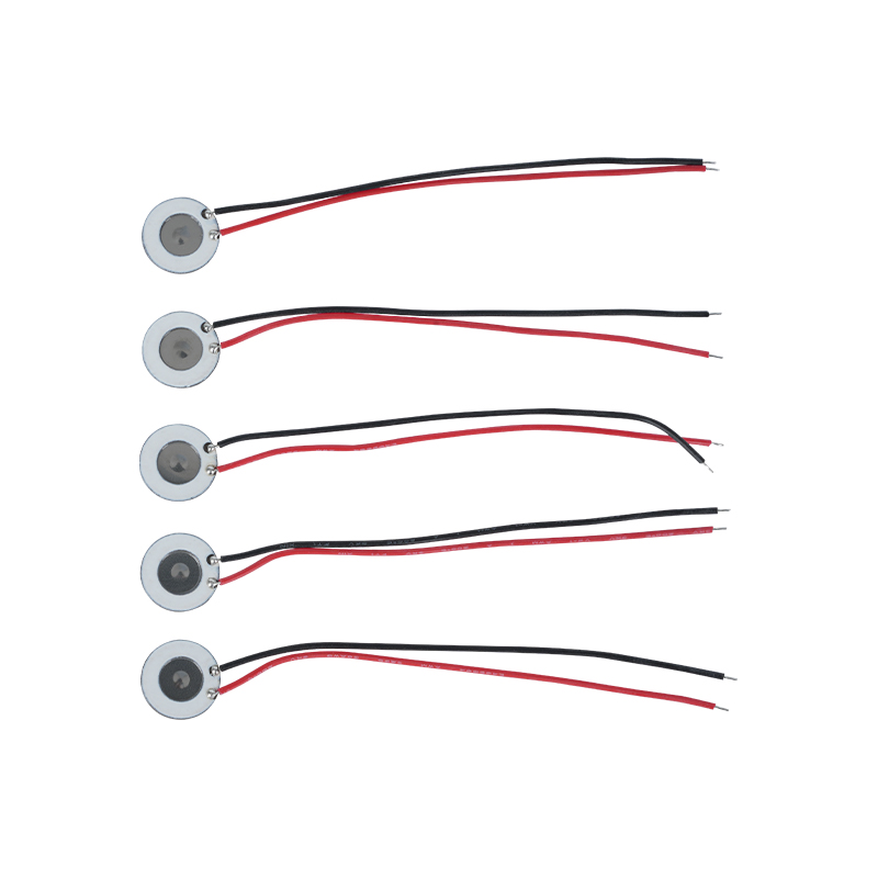 Atomizzatore microporoso in acciaio inossidabile da 10 mm Strumento di idratazione di bellezza Spray orale Profumo Spray Umidificazione Disinfezione Atomizzatore a rete Si applica anche al dispositivo elettronico per smettere di fumare e ad altri prodotti