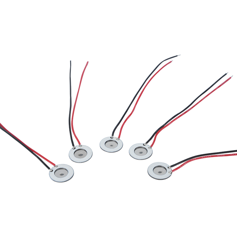 Atomizzatore microporoso in acciaio inossidabile da 10 mm Strumento di idratazione di bellezza Spray orale Profumo Spray Umidificazione Disinfezione Atomizzatore a rete Si applica anche al dispositivo elettronico per smettere di fumare e ad altri prodotti