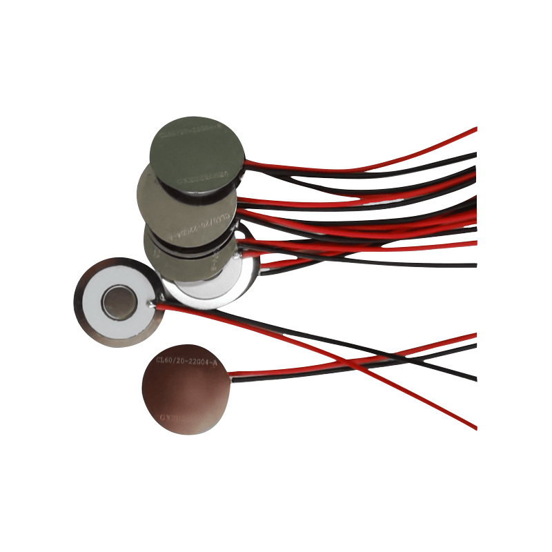 Dispositivo elettronico per smettere di fumare da Φ15 mmStrumento di bellezzaVassoio per appannamento in rete medicaUmidificatoreFogger per aromaterapiaRiscaldatoreVassoio per appannamento in reteTavoletta per appannamento in micro rete in acciaio inossidabileROHS