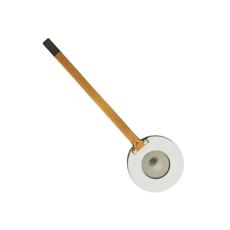 Membrana in poliimmide PI M16-110KHZNebulizzatore a rete microNebulizzatore medicoNebulizzatore a rete ultrasonicoDisco nebulizzatore microporoso da 3μm per nebulizzatore per inalazione