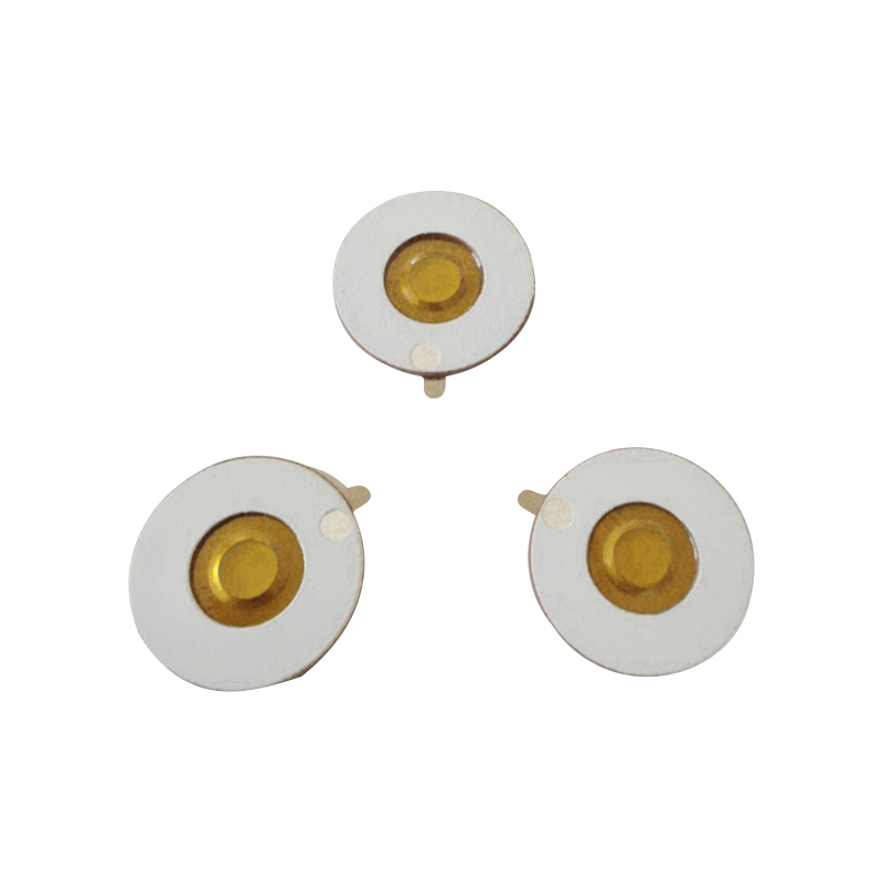 Membrana M16-108KHZ in poliimmide PINebulizzatore a rete microNebulizzatore medicoTavoletta per nebulizzatore a rete ultrasonicaVassoio per nebulizzatore a budesonide per inalazione microporosa da 3μm